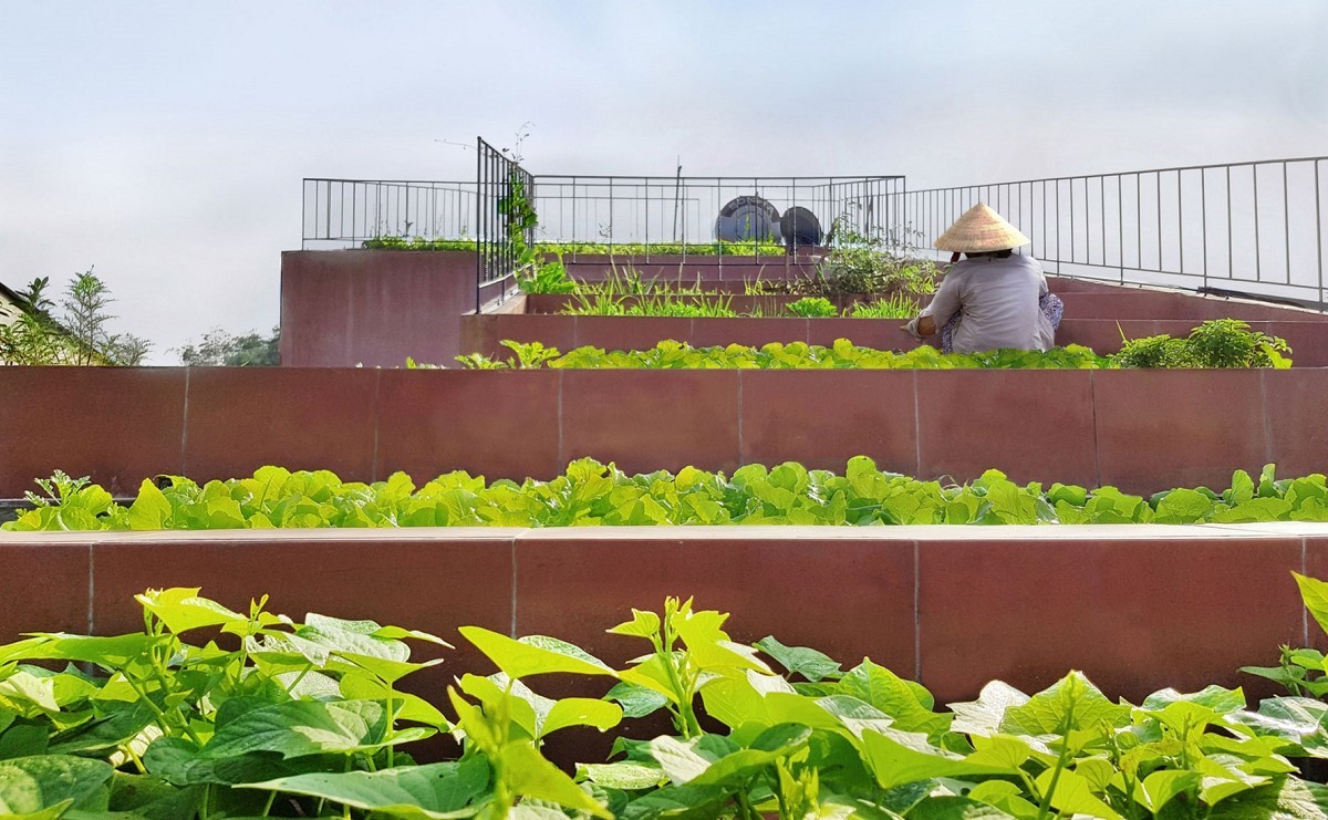 屋頂變身梯田菜園！越南「紅色家屋」結合農村綠意、居住功能的設計住宅
