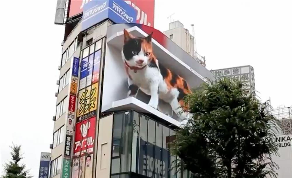 巨大「新宿東口の猫」現身新宿街頭