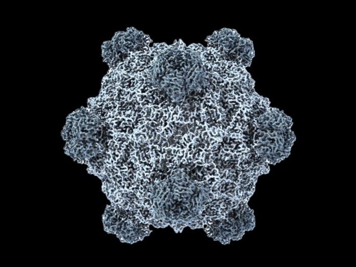AI-generated-genomes