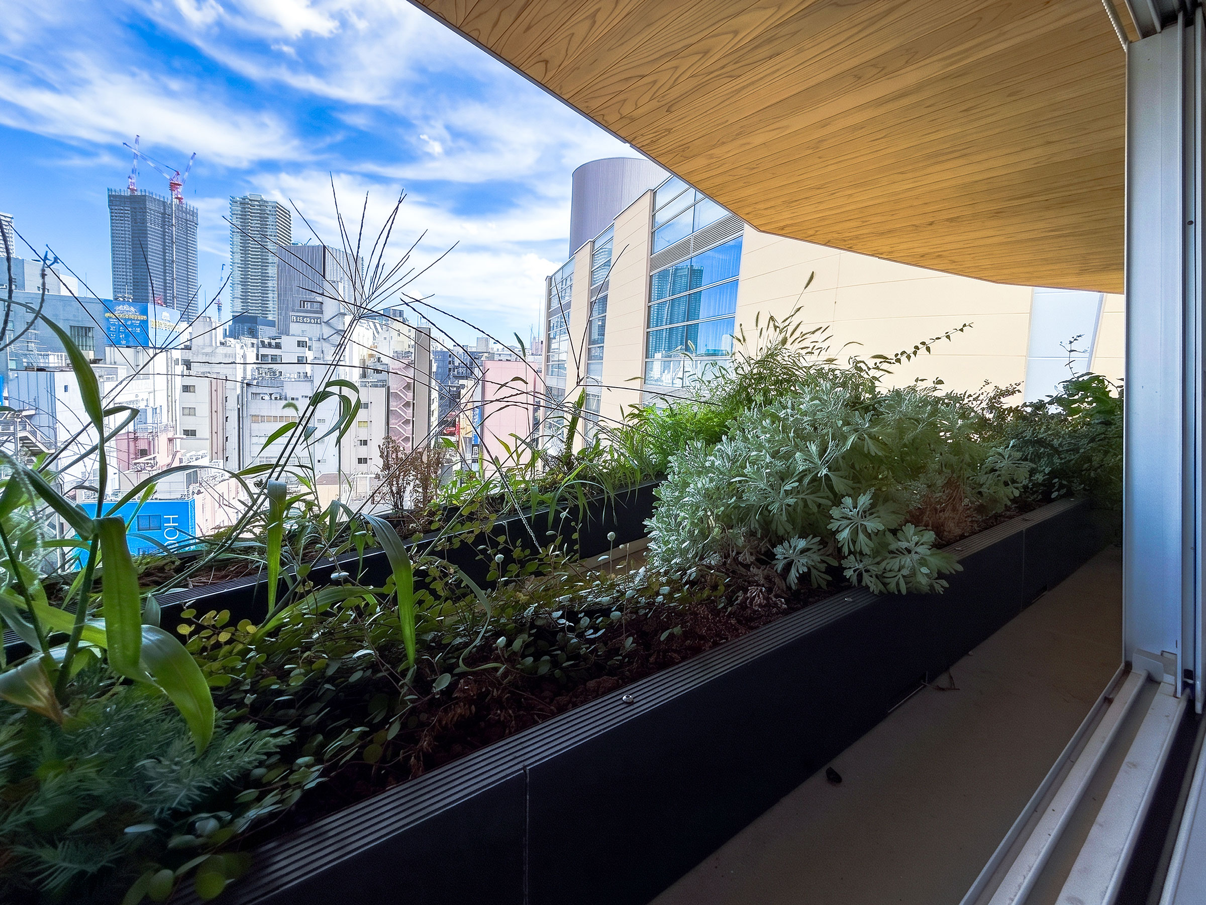 7樓住宅區域,透過夾層的窗戶向外眺望退縮露台處的植栽景觀 ©KOP 小山光